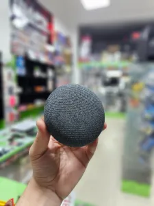 Alexa Google