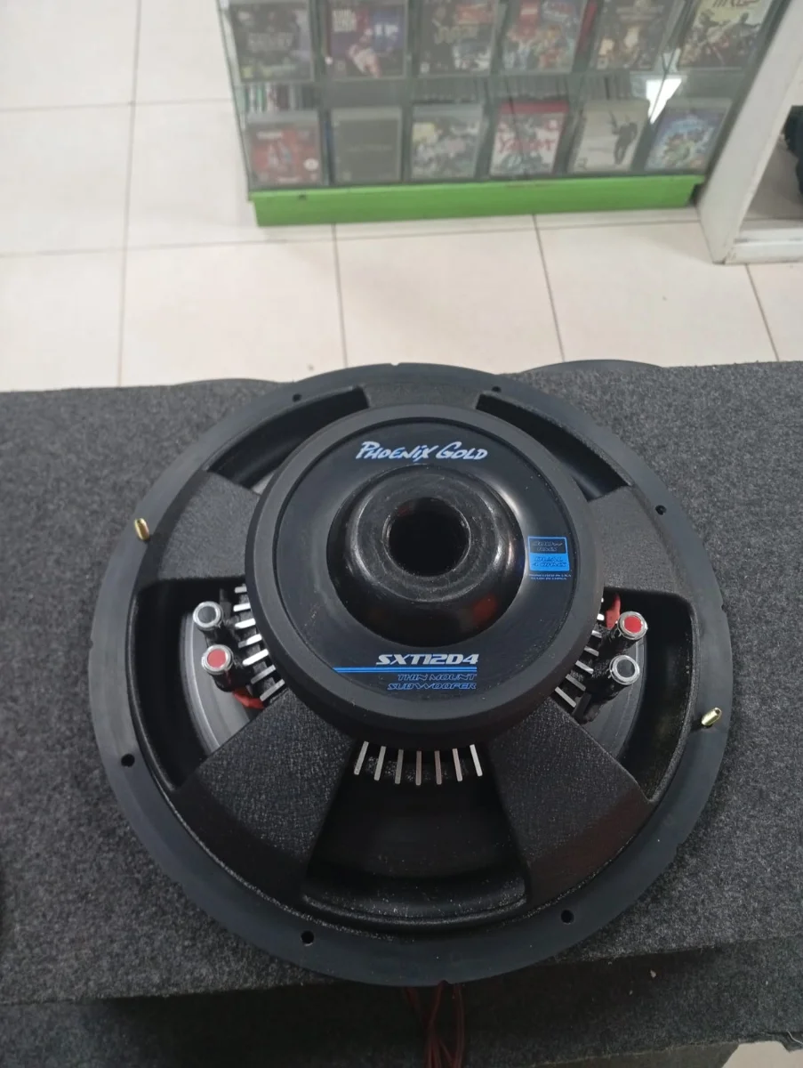 Phoenix Gold sub Woofer Linea SXT12D4 — foto 1